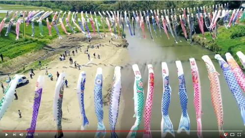 小櫃川の鯉のぼりフェスティバル動画への画像リンク