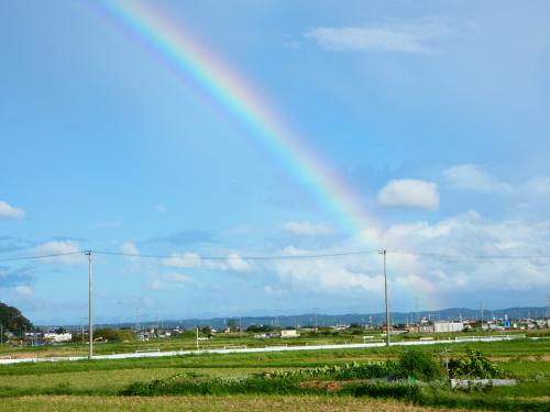 虹のある風景の写真
