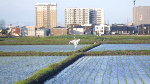 袖ケ浦駅海側の田んぼと建物の写真