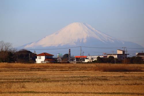 富士の写真