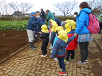 管理組合員が根形保育所の園児達に種芋の植え方を説明している様子の写真