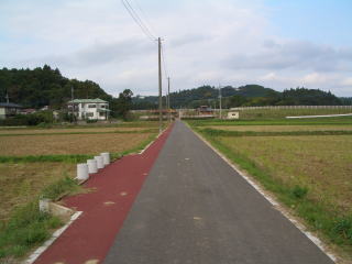 藤井野里堰農村公園へのフットパス(遊歩道)の写真