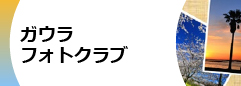 ガウラフォトクラブ（新トップページ）