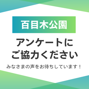 百目木公園アンケートの画像