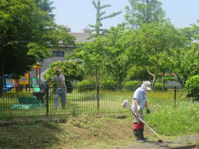 除草作業