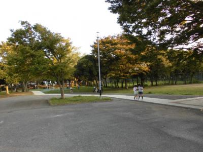 蔵波公園