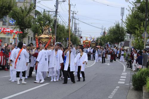 長浦地区合同祭礼で神輿を担ぐ様子