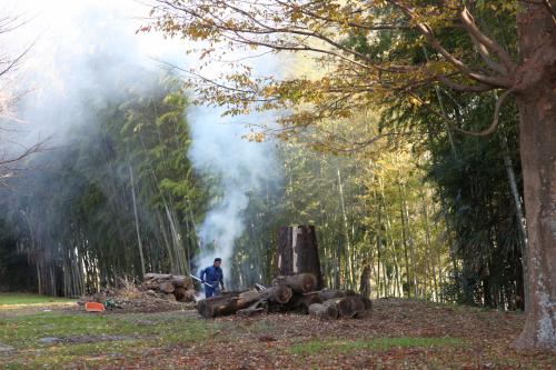 光福寺（三箇）境内の竹林に煙る落ち葉焚きの写真