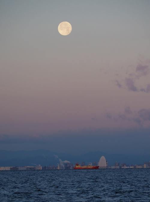海浜公園から見た風の塔と満月の写真