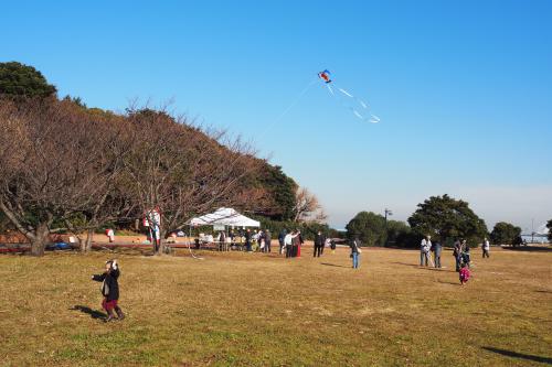 凧を上げる子ども写真