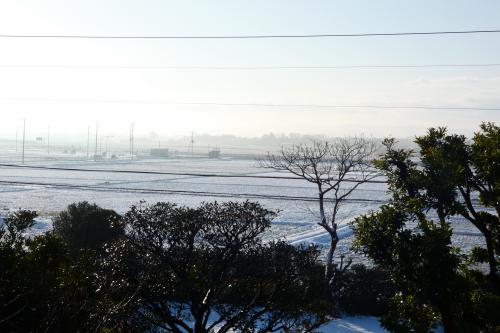 雪が積もる神納広域農道沿いの写真