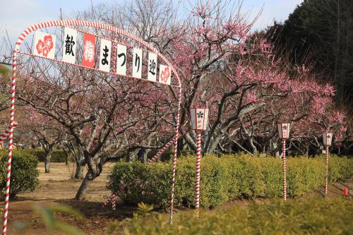 袖ケ浦公園梅園の写真