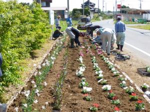 花の植栽の様子