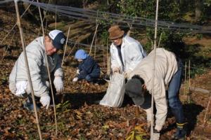 万葉植物園の整備