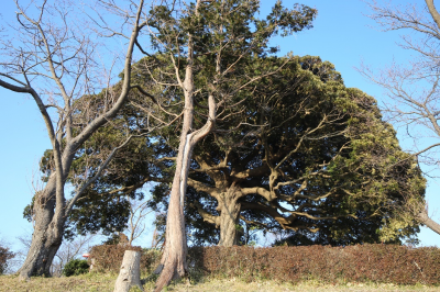 袖ケ浦公園の仁王像の写真