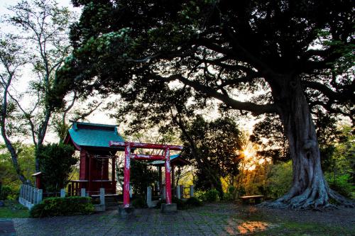 夜明けの神社写真