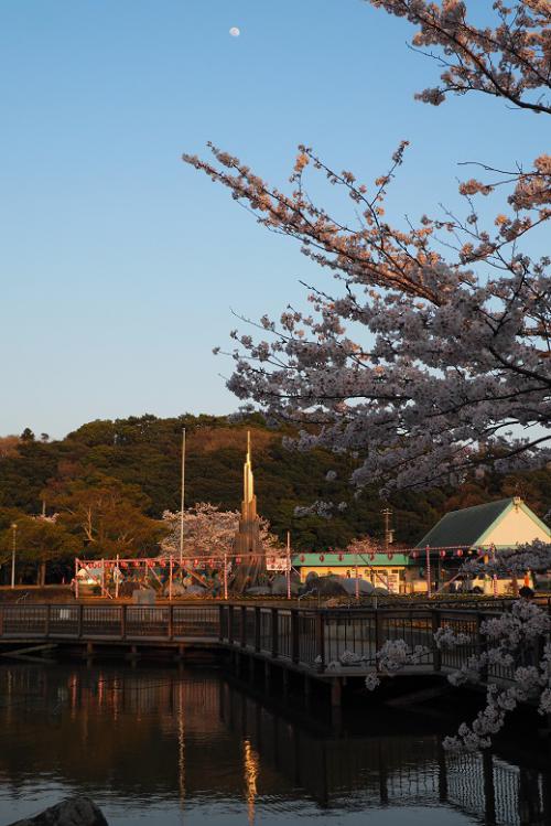 月と桜とモニュメントの写真