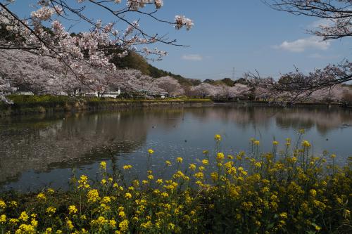 下池の風景