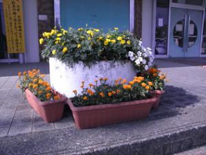 公民館入口の花