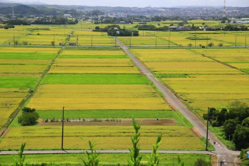 実り豊かな田園の写真