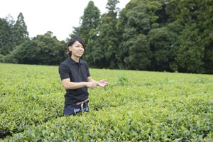 茶畑の中で話す武井さんの画像