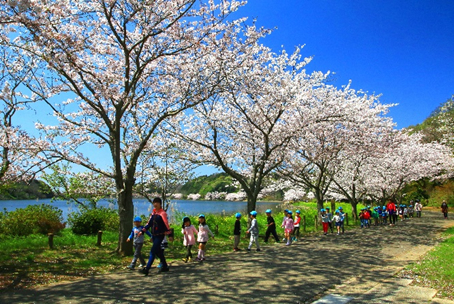 袖ヶ浦公園の桜を楽しむ子どもたち