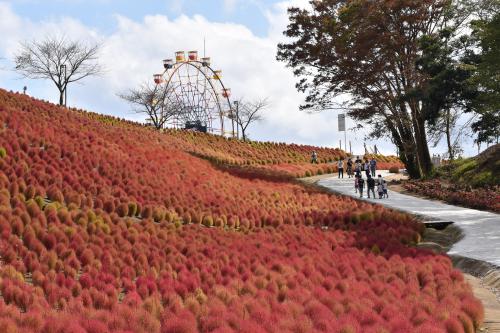 「もう少しで秋ですね」の写真