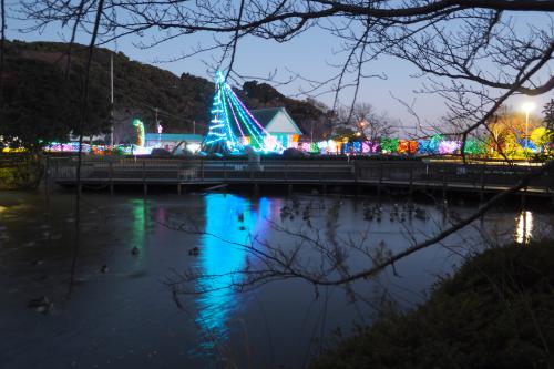 袖ケ浦公園のイルミネーションの写真