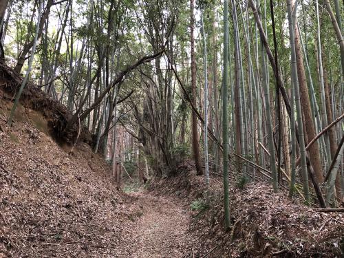 山里の道の写真