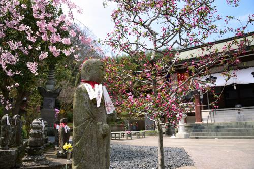 お地蔵さんのお寺の写真