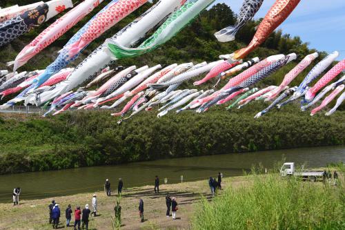 「屋根より高い鯉のぼり」の写真１枚目