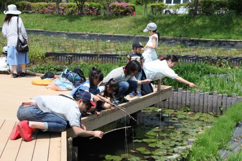 「誰が先に釣れるかな」の写真