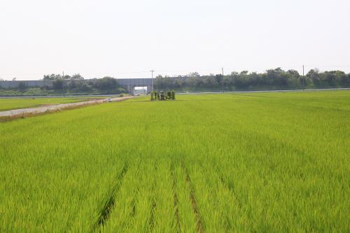 変わりゆく風景の写真