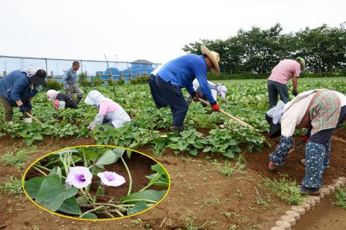 「子どもたちの笑顔・楽しみに」の写真