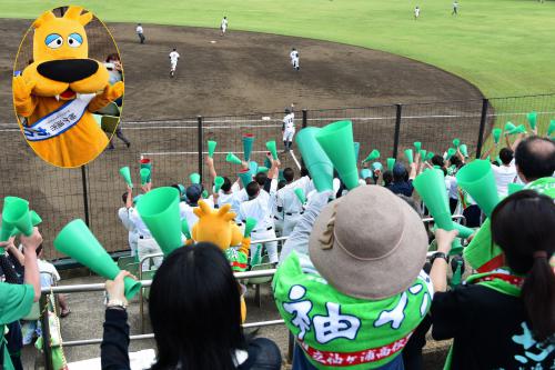 「袖ヶ浦高校勝利・ガウラくんも応援」の写真