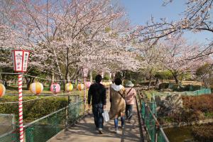 袖ケ浦公園まつりの写真