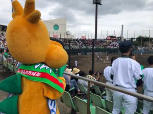 袖ヶ浦高校野球応援の写真