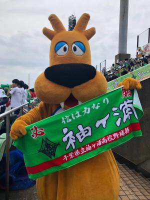 袖ヶ浦高校野球応援の写真