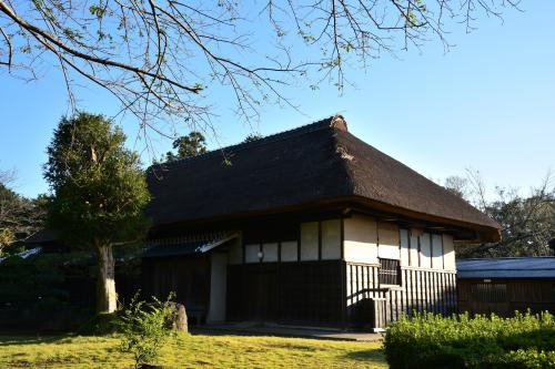 昭和30年代・秋風景の写真