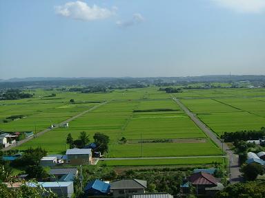 田園風景の写真