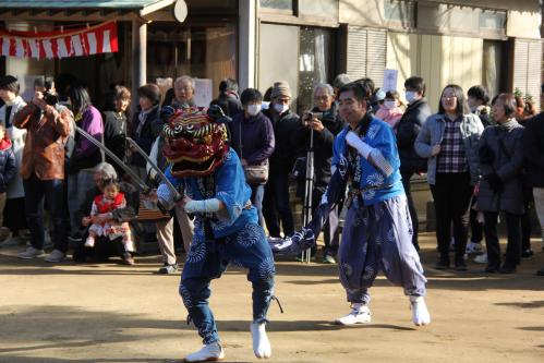 率土神社初詣の写真