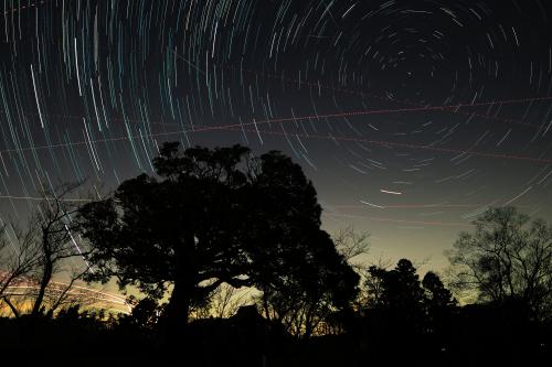 市の木しいと北極星の写真