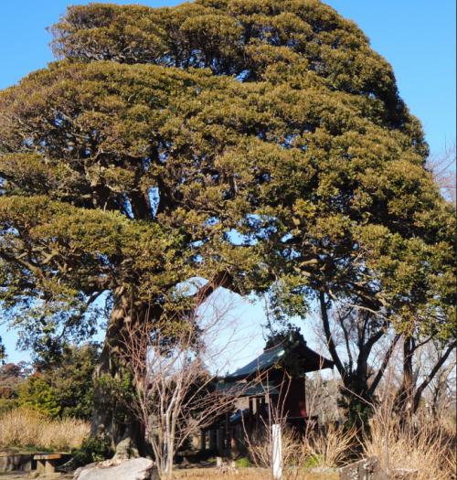 鏡ケ峰神社の写真