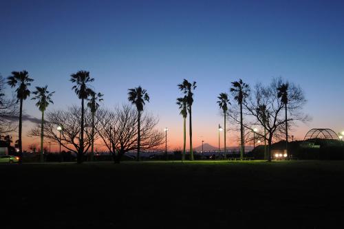 千葉フォルニアの夜景