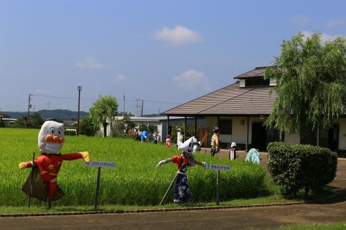 農村公園、夏の光景の写真