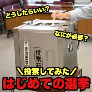 選挙のやり方のサムネイル