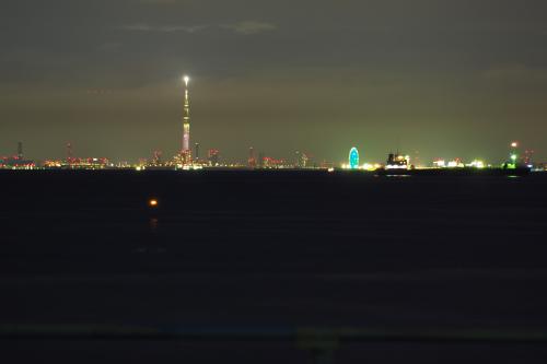 東京湾の画像
