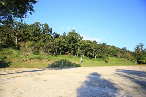 平岡小学校の画像