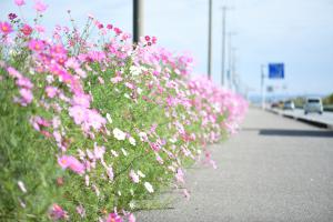 広域農道の画像