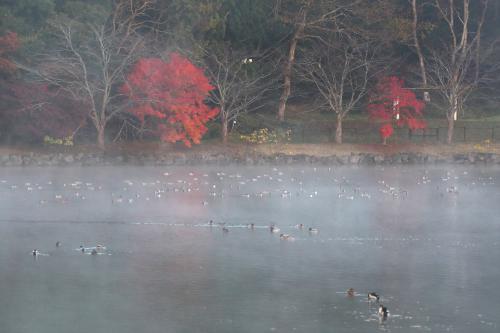 袖ケ浦公園の写真